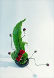ڤ