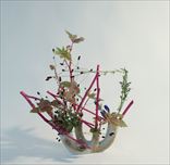 ����ˬ��