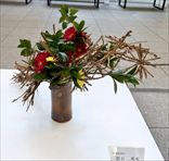 ���С�����