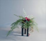 ����Ū��