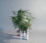 ��ư�Τ���