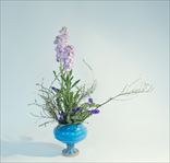 ���쥬���