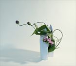 �в�