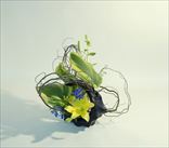 �ʤ��䤫