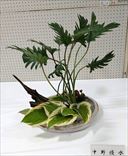 中野　優水