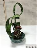 鈴木　美水
