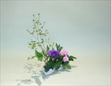 華やかな